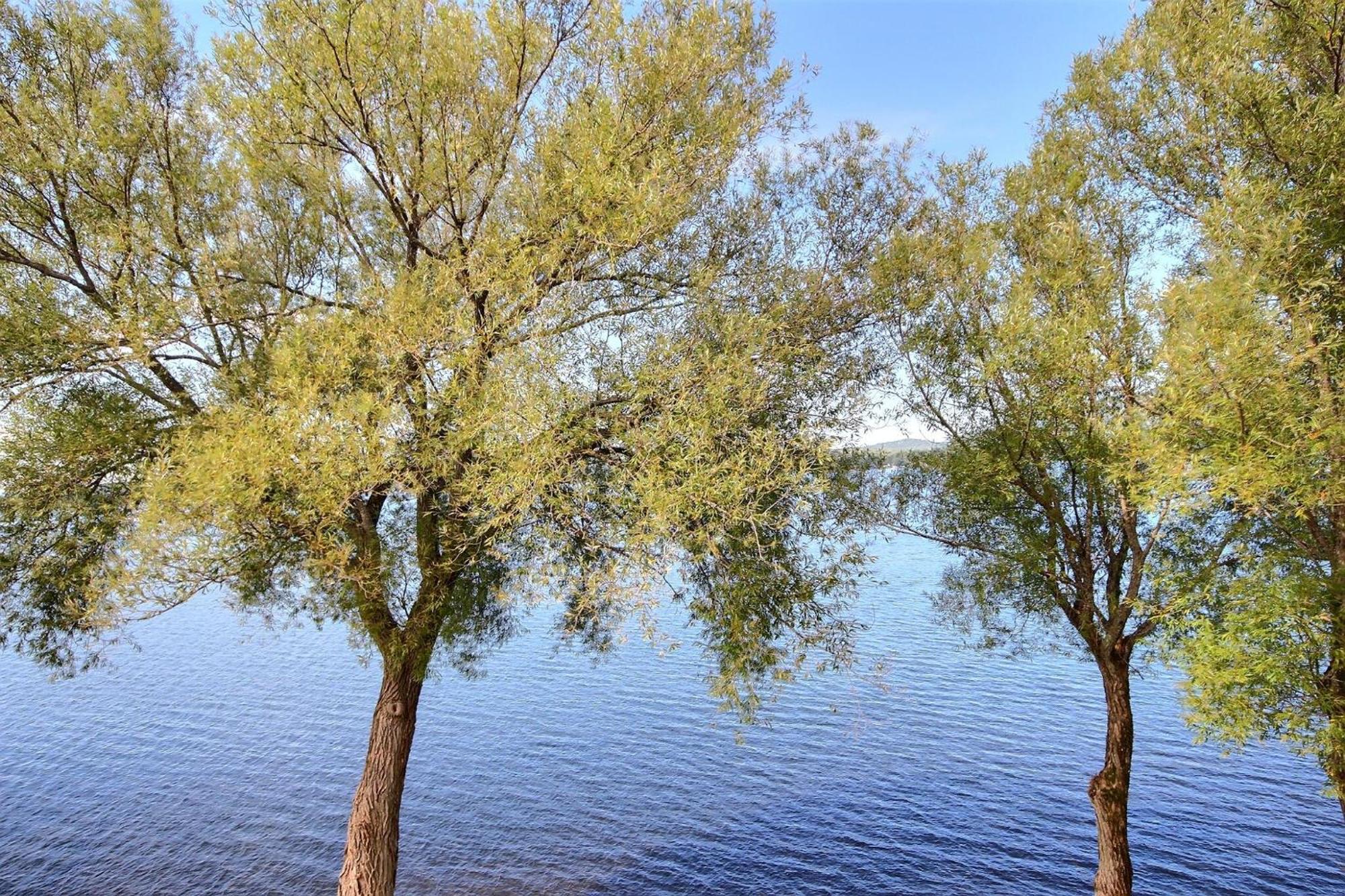 Location Tourisme Estrie - Oberge Du Village Magog Dış mekan fotoğraf